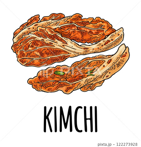 Korean food kimchi. Vintage color vector engraving illustration. Isolated 122273928