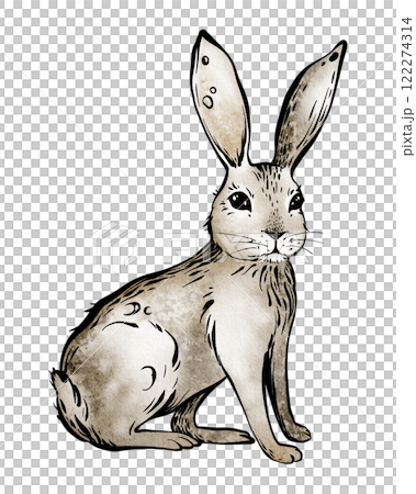 Hare illustration on a isolated background. Hand-drawn artwork of a cute rabbit black graphic line and watercolor. For greeting cards, invitations, and Easter-themed designs. For nursery decorations. 122274314