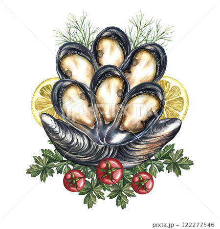Mussels with lemon, herbs and cherry tomatoes. Handmade watercolor illustration. A color image of a seafood dish. On a white background. For menus, recipe books, packages, label, banner and invitation Mussels with lemon, herbs and cherry tomatoes. Handmade watercolor illustration. A color image of a seafood dish. On a white background. For menus, recipe books, packages, label, banner and invitation 122277546