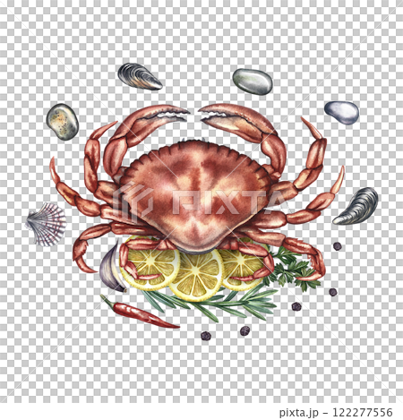 Crab with lemon and herbs surrounded by pebbles and shells. Handmade watercolor illustration. A color image of a seafood dish. Separate from the background. For menus, recipe books, packages, labels. 122277556