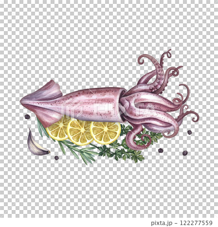 Squid with lemon and herbs. Handmade watercolor illustration. A color image of a seafood dish. Separate from the background. Perfect for menus, recipe books, packages, labels, invitations, and more. Squid with lemon and herbs. Handmade watercolor illustration. A color image of a seafood dish. Separate from the background. Perfect for menus, recipe books, packages, labels, invitations, and more. 122277559