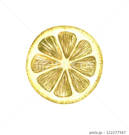 A slice of lemon. The illustration is done in watercolor by hand. A color image of a citrus fruit is highlighted on a white background. Perfect for menus, recipe books, packages, labels, and more. 122277567