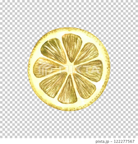 A slice of lemon. The illustration is done in watercolor by hand. A color image of a citrus fruit is highlighted on a white background. Perfect for menus, recipe books, packages, labels, and more. 122277567