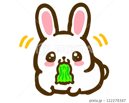 キャベツを食べるかわいいペットのうさぎの落書き風イラスト素材 キャベツを食べるかわいいペットのうさぎの落書き風イラスト素材 122278387