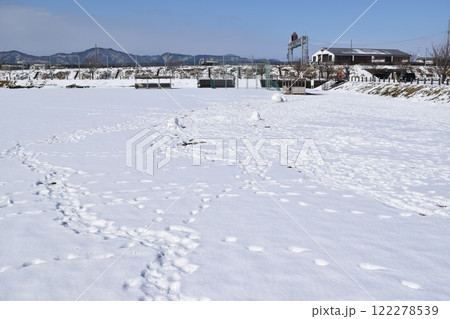 新雪に足跡 新雪に足跡 122278539