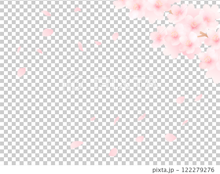 盛開的櫻花和花瓣背景_可愛的春天花朵水彩插畫 122279276