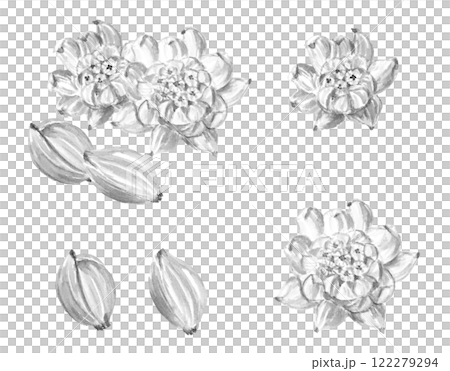 ふきのとうの水墨画セット ベクターのイラスト素材 [122279294