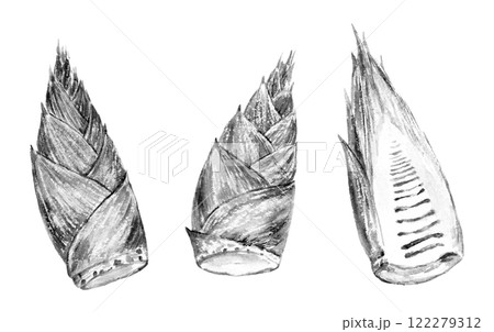 タケノコの水墨画風イラスト タケノコの水墨画風イラスト 122279312