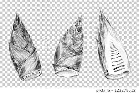タケノコの水墨画風イラスト タケノコの水墨画風イラスト 122279312
