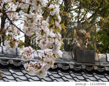 赤山禅院 鬼門除けの猿(拝殿) 赤山禅院 鬼門除けの猿(拝殿) 122280992