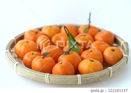 コロンと可愛い小さなみかん(3~4cm、3:2) コロンと可愛い小さなみかん(3~4cm、3:2) 122281337