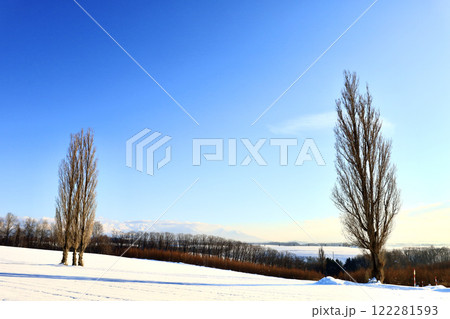 北海道美瑛町にある冬の赤羽の丘の風景 122281593