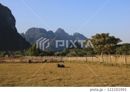 Mountains and field with water buffaloes in Vang Vieng, Laos. Mountains and field with water buffaloes in Vang Vieng, Laos. 122281991