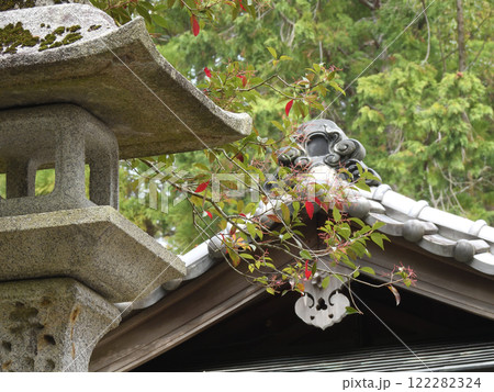 赤山禅院 赤山禅院 122282324