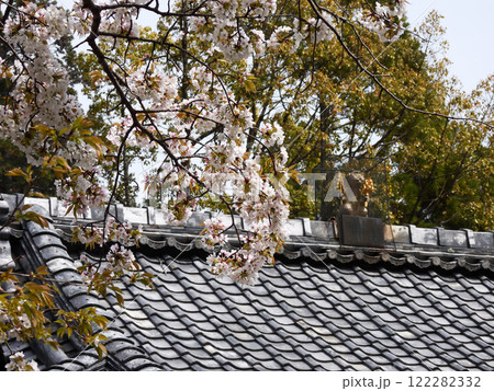 赤山禅院　鬼門除けの猿（拝殿） 122282332
