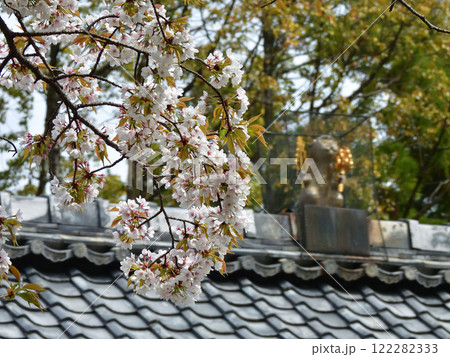 赤山禅院　鬼門除けの猿（拝殿） 122282333
