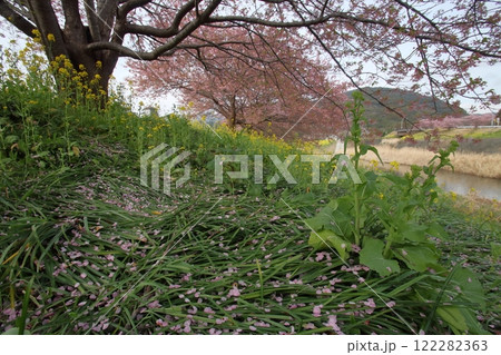 桜のある風景 122282363