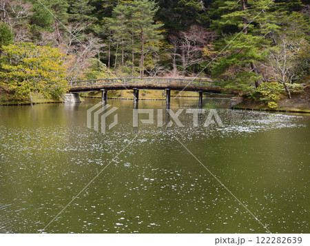 修学院離宮　上離宮　楓橋と花筏 122282639