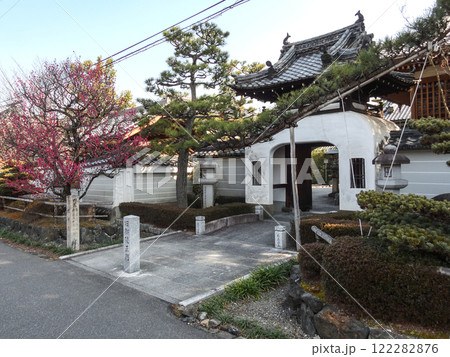 法住寺　竜宮門と八重紅梅 122282876