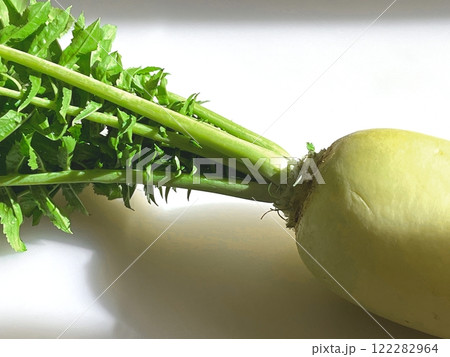 だいこんと葉っぱ（採れたて新鮮野菜） 122282964