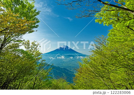 新緑の三方分山から見る富士山 122283006