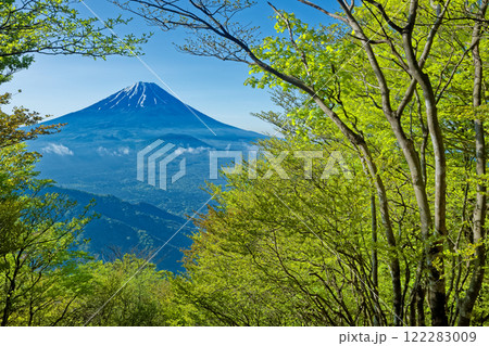 新緑の三方分山山頂から見る富士山 122283009