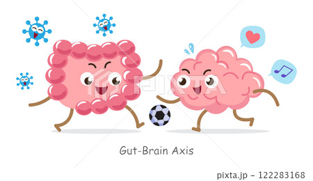 Gut-brain axis . Cartoon character of human brain and intestine . Concept about prebiotics and probiotics relate with brain function . Vector . 122283168