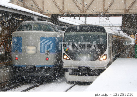 吹雪く中央本線大月駅に停車中のホリデー快速河口湖号・特急かいじ号 吹雪く中央本線大月駅に停車中のホリデー快速河口湖号・特急かいじ号 122283216