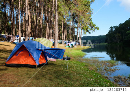 Camping on the lake in the pine forest 122283713
