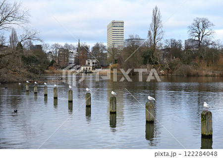 ハイドパークの湖の杭に整列する鳥 ハイドパークの湖の杭に整列する鳥 122284048