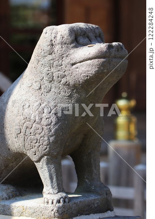 杉田八幡宮の和様狛犬 杉田八幡宮の和様狛犬 122284248