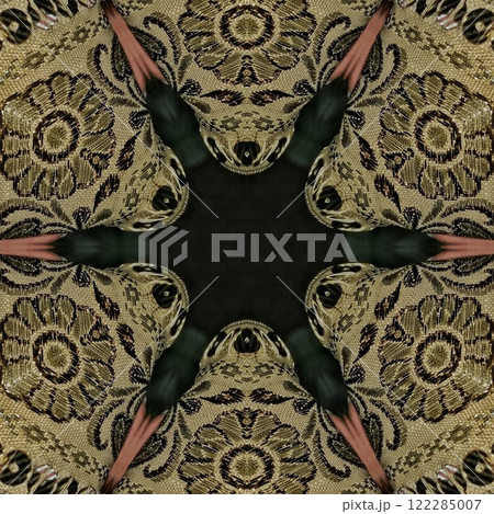 Pakistani ethnic lace texture. Geometric stripe ornament cover photo. Traditional mystic background design. Turkish fashion for floor tiles and carpet. Repeated pattern design for Indian textile print Pakistani ethnic lace texture. Geometric stripe ornament cover photo. Traditional mystic background design. Turkish fashion for floor tiles and carpet. Repeated pattern design for Indian textile print 122285007