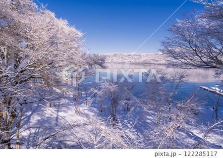 《山梨県》山中湖湖畔の樹氷・雪景色の山中湖村 122285117