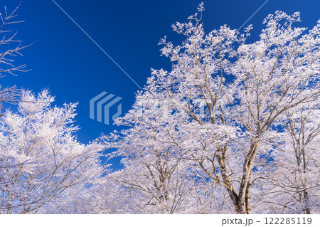 《山梨県》山中湖湖畔の樹氷・雪景色の山中湖村 《山梨県》山中湖湖畔の樹氷・雪景色の山中湖村 122285119