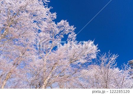 《山梨県》山中湖湖畔の樹氷・雪景色の山中湖村 122285120