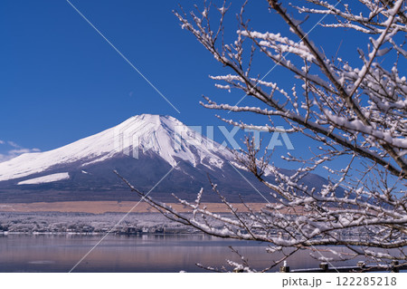 《山梨県》冬の富士山・山中湖湖畔の眺望 122285218