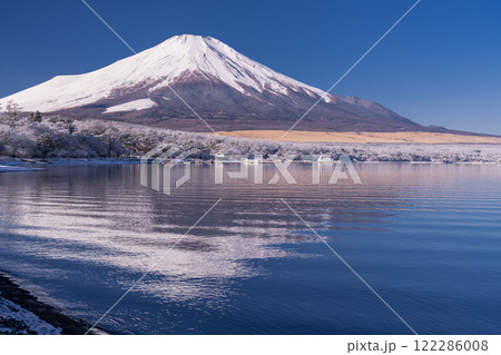 《山梨県》冬の富士山・雪景色の山中湖湖畔 《山梨県》冬の富士山・雪景色の山中湖湖畔 122286008