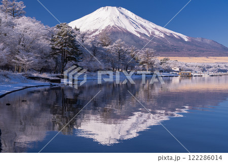 《山梨県》冬の富士山・雪景色の山中湖湖畔 122286014