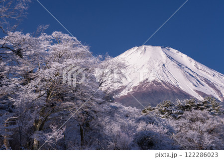 《山梨県》冬の富士山・雪景色の山中湖湖畔 《山梨県》冬の富士山・雪景色の山中湖湖畔 122286023