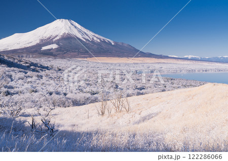 《山梨県》冬の富士山・明神山ススキ群生地の眺望 122286066
