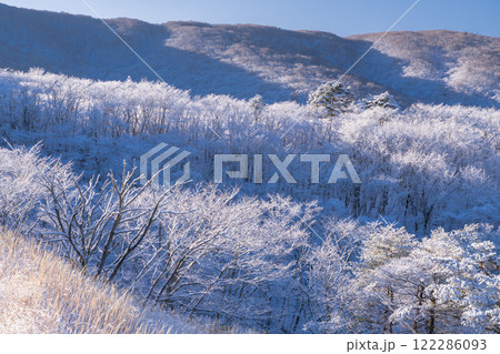 《山梨県》樹氷の森・山中湖パノラマ台の眺望 122286093