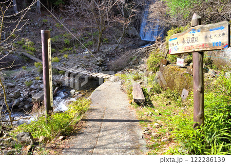 関東地方・蓑毛のミツマタ・丹沢の名水が汲める、春獄堰堤を通る登山道・神奈川県秦野市蓑毛(1) 122286139
