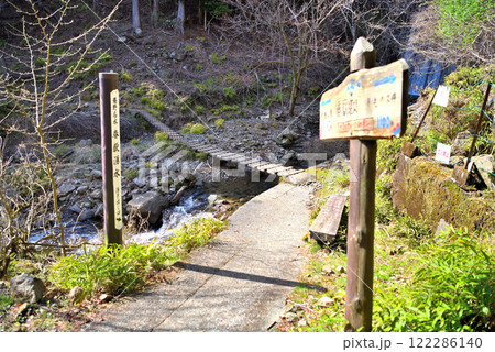 関東地方・蓑毛のミツマタ・丹沢の名水が汲める、春獄堰堤を通る登山道・神奈川県秦野市蓑毛(2) 122286140