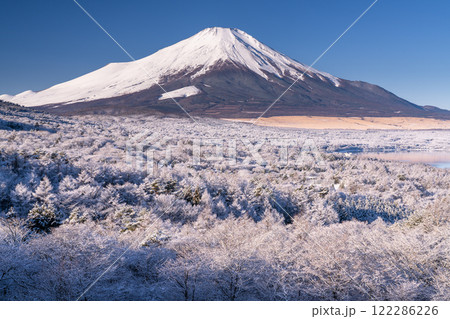 《山梨県》冬の富士山・積雪の山中湖パノラマ台の眺望 122286226