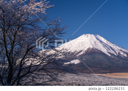 《山梨県》冬の富士山・積雪の山中湖パノラマ台の眺望 《山梨県》冬の富士山・積雪の山中湖パノラマ台の眺望 122286231