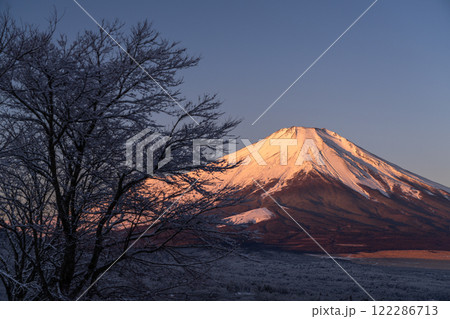 《山梨県》冬の富士山・夜明けの山中湖パノラマ台の眺望 122286713