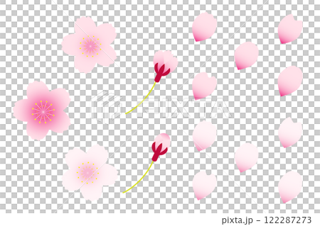 cherry blossom petals illustration material cherry blossom petals illustration material 122287273