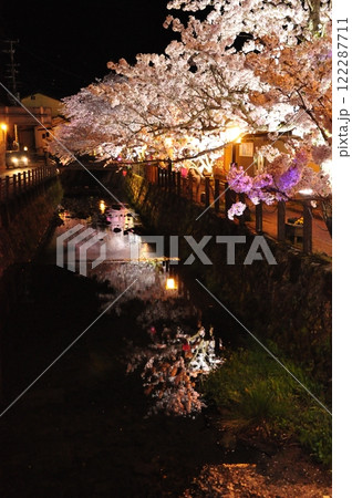 夜桜2 夜桜2 122287711