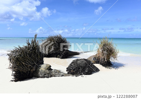 北マリアナ SAIPAN メモリアルビーチ 北マリアナ SAIPAN メモリアルビーチ 122288007