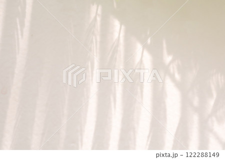 Abstract natural tree leaves shadow on white wall background 122288149